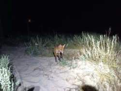 21e75738-efba-4ce8-92eb-b88f1ae80053