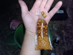 3490abdb-40c5-475d-98e1-4b03fd57b4c0