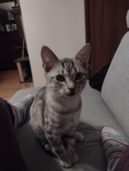 6ea7d33a-6a25-41e6-870f-6129f258f366