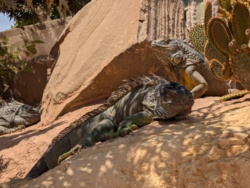 7b813e56-ede3-471f-9198-405af15c51d1