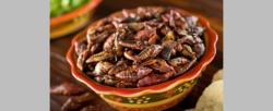 Meksykanie oglądają mundial, zajadając się chapulines, czyli… smażoną szarańczą