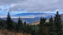 5f9a7404-2373-4970-8be4-22cd9744c1a4