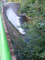 593d5b16-834a-4ca7-b19d-21077a840555