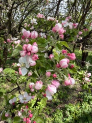 56ef51a8-b392-48fd-a519-d5940c994bb6