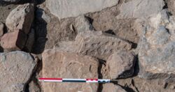 "Najbardziej pasjonujące znalezisko". Polscy archeolodzy odkryli grę planszową sprzed ponad 4 tys. lat