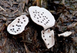 e66d3e0e-240f-41c2-b076-80491b815ebf