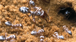 d9f23aa0-d57e-40d9-967c-75cf4070ef1d