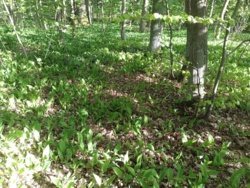 baecc1e6-fd4b-49fb-a19e-68d6dbde3fca