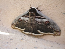 cd7f2665-6b98-4269-a4bf-83a257a28951