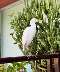 2f955afb-8d03-404b-8a20-daaa2e38d535