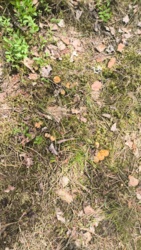 6c66185a-413e-474d-ae1f-ac45ea48ab70