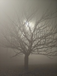 3bbed979-bcd4-4373-9d2b-7c9770078595