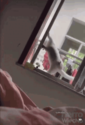 02942584-59e2-4161-9f29-f68f17bbc97d