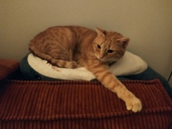 cd5d69d4-ef46-4e19-8164-a7faff27d4f3