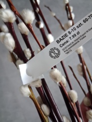 f217b2ea-6aac-4895-9df9-9377dd4e995a