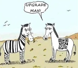 b108b949-3739-4c0f-a0e1-91f60f6161de