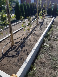 4d6cdfce-bfe6-485c-bbd0-303f7251e3a3