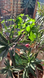 81256ede-05e2-4412-bfb1-21477b3fc0f6