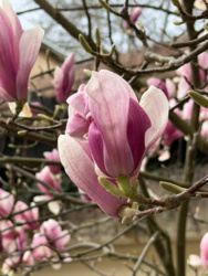 d76fa177-0568-4721-95e9-587441825778