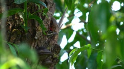 f3f8bab5-23b7-4ba2-94a1-5d2a5db36592