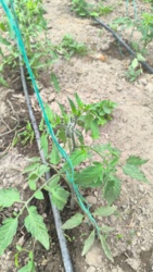 b5eec41e-66ee-4e7c-97f2-aaf50cae7737