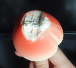 0fec5352-08c2-4960-bf06-1ac730ef31fc