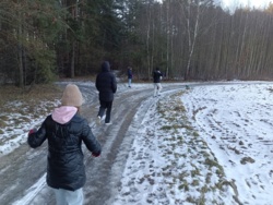 c3196b31-dea4-4700-95fb-ae8ba76d1ad2