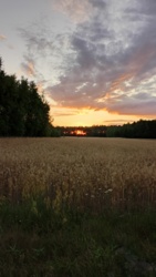 a1f53201-4398-4d93-abb1-8d6f2c6c3be6