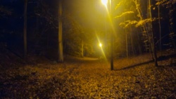 f086aa7f-b085-44aa-91fe-7443a18cc36d