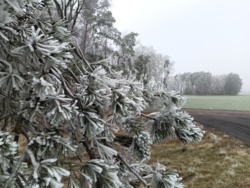 a01e1ece-3f46-4521-be2f-40113bcbf876