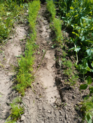 fbcb1cb9-6707-4871-9d0a-87104c395ffb