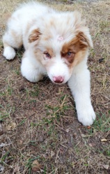 1a89b190-d1dd-494f-8749-72b247c6aa29