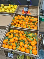 3cd5dbd3-c4e4-4c83-a0b0-5b97ab97fbe9