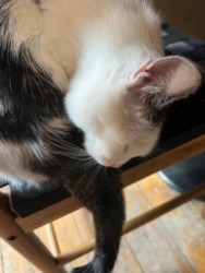 e5972a08-233e-4b7b-b47d-c11fad528343