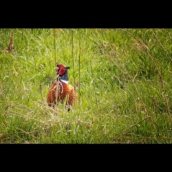 5d19fe11-9d23-4fdf-962a-7cf18e37cb3c