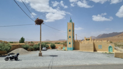 8df0daae-8be6-4ff8-892e-9a6c8325ec1b