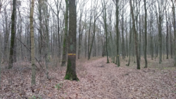 8cf7cc12-53fc-47b9-b438-a7d831a03678