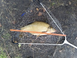 e2ba246a-3fb8-4a1d-bea3-15f25f8487ba