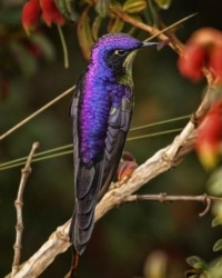 50524ab0-7acc-47ec-a909-f2ab95a09bd8