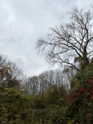 2862400a-432a-48a1-b4cd-6b9d175fc5b9