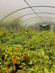 65102257-fddc-408f-a4bb-49f8bb53a8a0