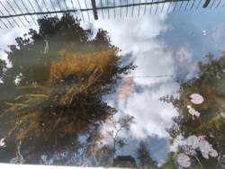 77775456-aa24-4a86-8487-e785a17d25b4