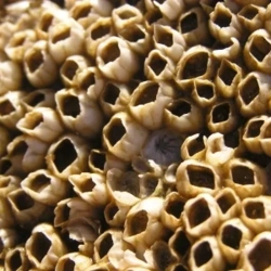 b9d65af4-b841-48fb-b107-269636d66e7c