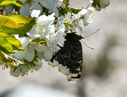 e7a85b01-9f1b-4a54-8f55-4936e4912a63