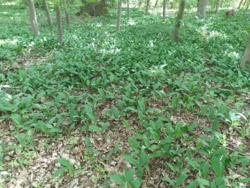 e8acda49-718d-4931-b1e0-c69bda9fad3c