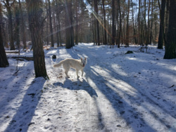 9bb61f7a-fa49-4c0e-bee7-b71cbda3064c