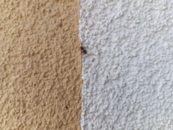 f1d5352d-197a-48d1-b45f-a1c182a2f09c