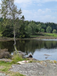 ad56fe0d-166d-4e72-b7cb-b31468153e24