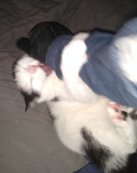 ca1ad755-314a-4176-823b-a10d41fd883f