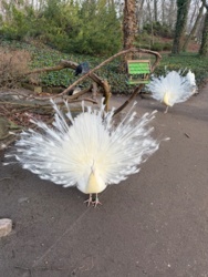 87302a79-7a79-47cc-adce-aed8f308ea05